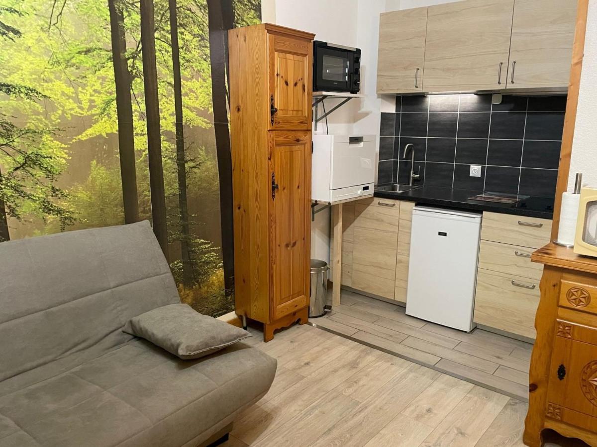 Apartment Le Savoisien By Interhome シャモニー エクステリア 写真